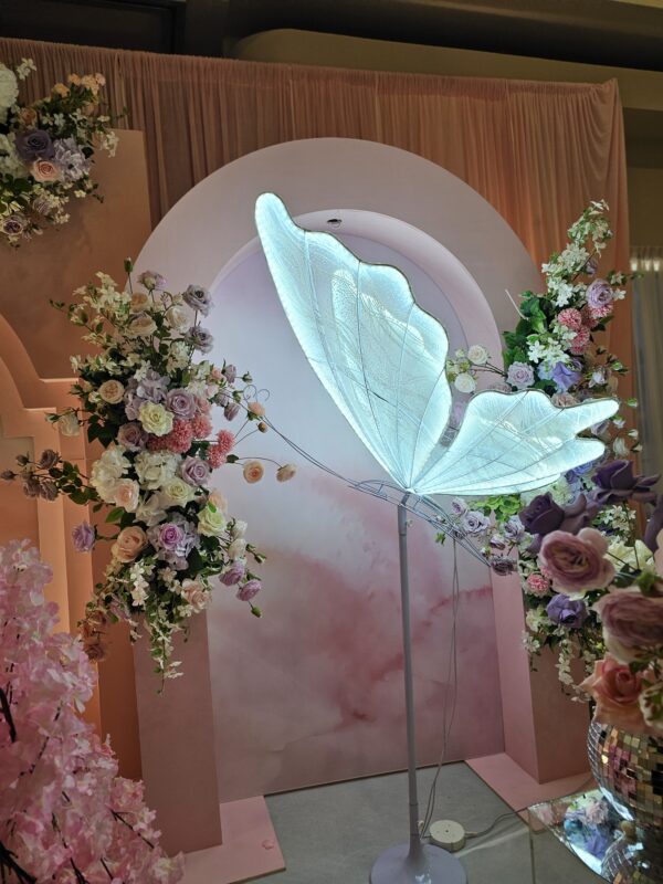 LED Cool White Butterfly  Size:47 Inches and 40 inches