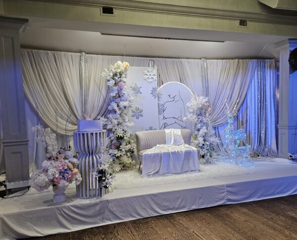 7.5ft wide x 22ft Long Polyester Stage Cover